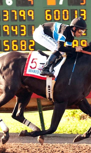 Getting to know undefeated Shared Belief
